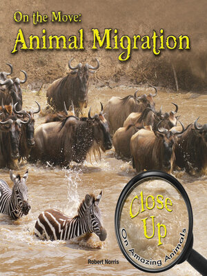 cover image of On the Move: Animal Migration